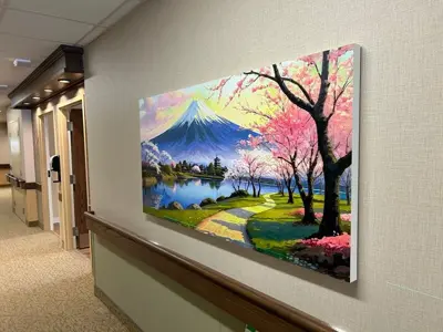 Wall Graphics Photo